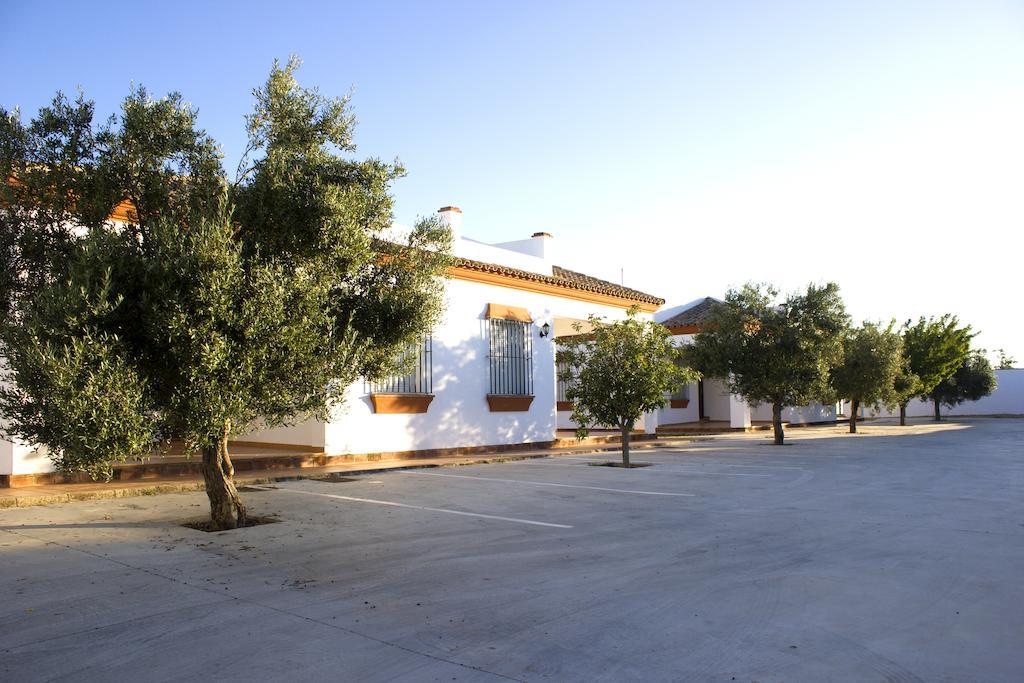Villa La Dehesa Conil De La Frontera Δωμάτιο φωτογραφία